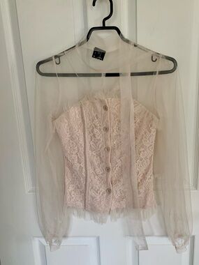 Sheer Long-Sleeve Lace Bustier Top in Blush